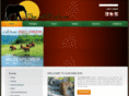 thewildexplorer.com