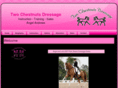 twochestnutsdressage.com