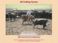 4ncuttinghorses.com