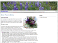 all-affection-flowers.com