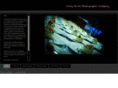 craigdavidphotography.com