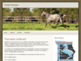 hoodhorses.com