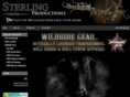 sterlingproductionsink.com