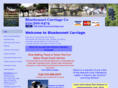 bluebonnetcarriage.com