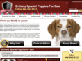 brittanyspanielpuppiesforsale.com