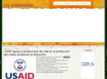 gobarahona.com