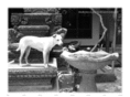 lyuca.com