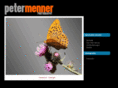 menner.net