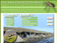 saltcreektigerbeetle.com