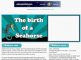 birthofaseahorse.com