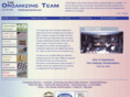organizingteam.com