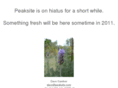 peaksite.com