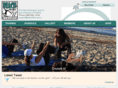 beachfitsc.com