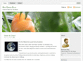 beegreenblog.com