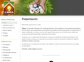 cabsagt.com