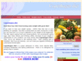 copenhagendiet.com