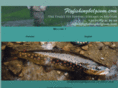 flyfishingbelgium.com