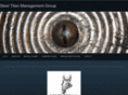 steeltitanmanagement.com