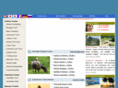 asia-visa.com