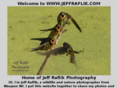 jeffraflik.com