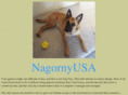 nagornyusa.com