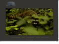 lucidtimes.com
