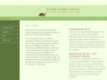turtlecreektutors.com