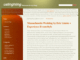 uslinghting.com