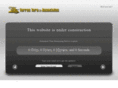 torrestoroandassociates.com
