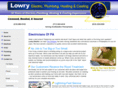 lowryservicespa.com