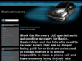 blackcatrecovery.com