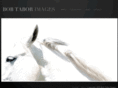 bobtaborimages.com