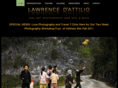 larrydattilio.com