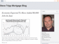 stevetrippmortgageblog.com