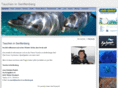 tauchen-in-senftenberg.com