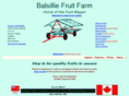 thefruitwagon.com