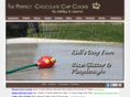 theperfectchocolatechipcookie.com