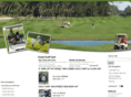 usedgolfcartdeals.com