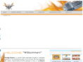 firewingsystems.com