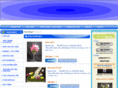 hoadatngocdiep.com