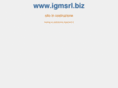 igmsrl.biz