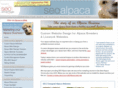 seoalpaca.com