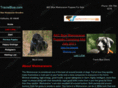 tracieblue.com