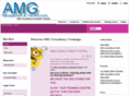 amgconsultancy.com