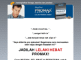 lelakihebatpromax.com