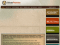 urbanpromiseinternational.com