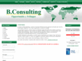 bconsulting.biz