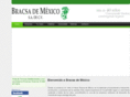 bracsa.com