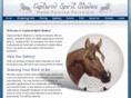 capturedspiritstudios.com