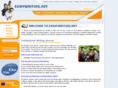 essaywriting.net